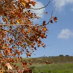 Quinta Da Murnalha ファームステイ *