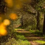 Quinta Da Murnalha ファームステイ Azueira