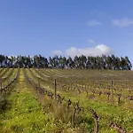 Quinta Da Murnalha ファームステイ Azueira