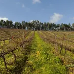 ファームステイ Quinta Da Murnalha Azueira