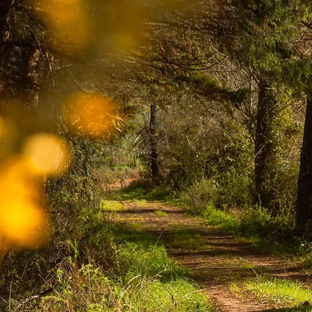 Quinta Da Murnalha בית חווה Azueira