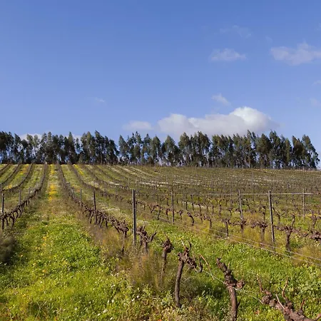 Quinta Da Murnalha Çiftlik konaklama Azueira
