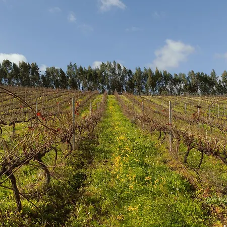Farma Quinta Da Murnalha Azueira