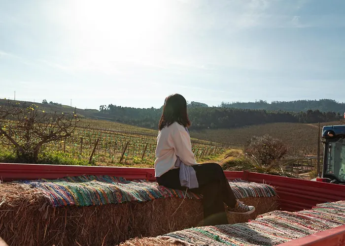 Lantgård Quinta Da Murnalha